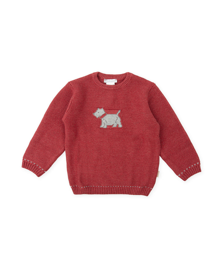 CARMIN KNITTED PUPPY JUMPER BOY