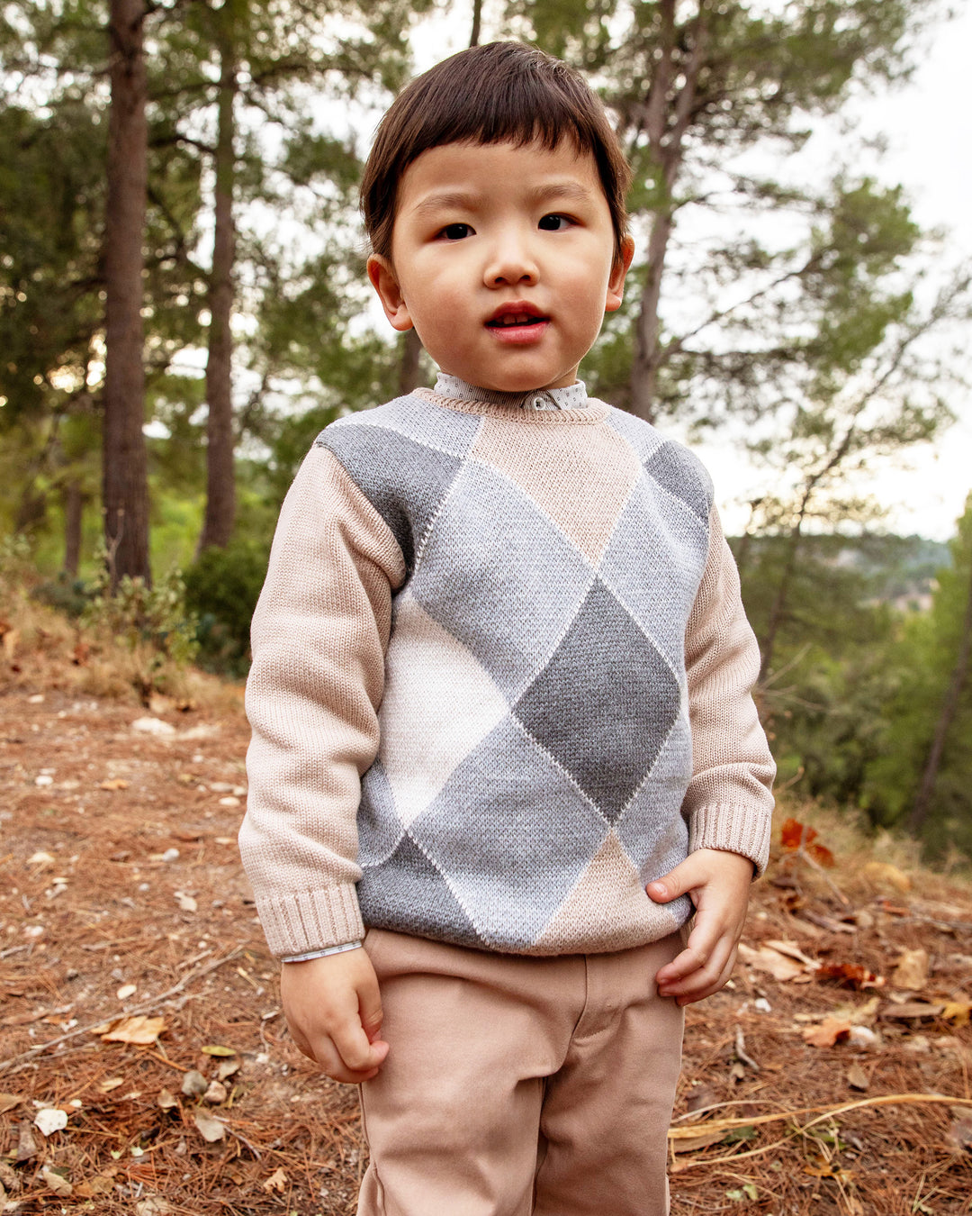 SAND DIAMONDS KINTTED JUMPERS BOY